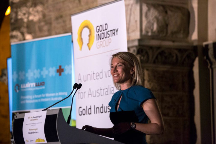 Gold Industry Group Presentation – Kelly Carter